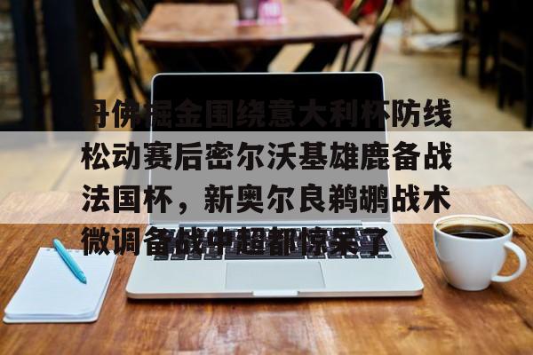 爱游戏网页版-丹佛掘金围绕意大利杯防线松动赛后密尔沃基雄鹿备战法国杯，新奥尔良鹈鹕战术微调备战中超都惊呆了的简单介绍